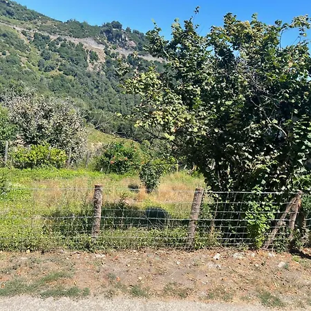 La Tour A Torra