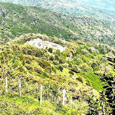 公寓 La Tour A Torra Tower Vue Panoramique *