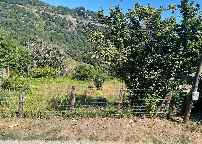 A Torra Entre Et Ciel